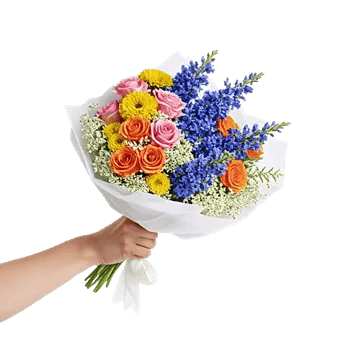 Blushing Rose Symphony