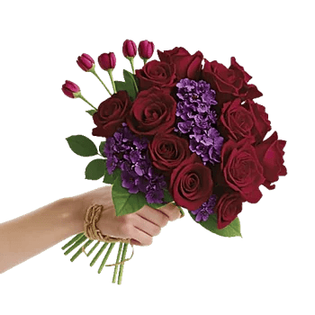 Crimson Rose Elegance