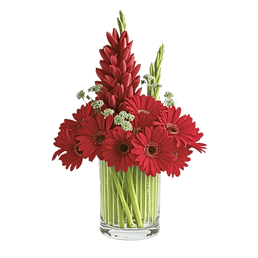 Crimson Blossom Harmony