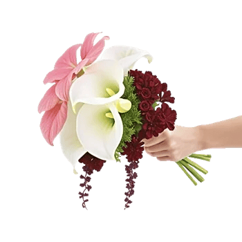 Elegant Calla Lilies