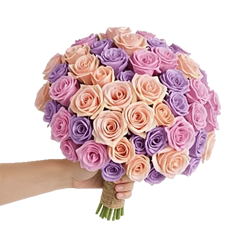 Blushing Rose Symphony