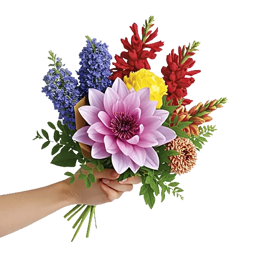 Blossom Harmony Display