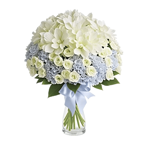 Serene Petal Harmony