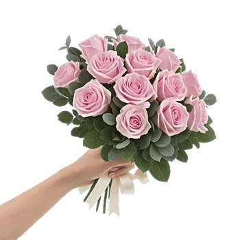 Blushing Rose Symphony