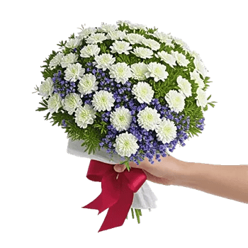 Delicate Petal Cascade