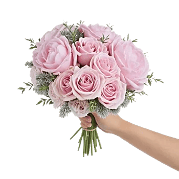Pastel Pink Roses