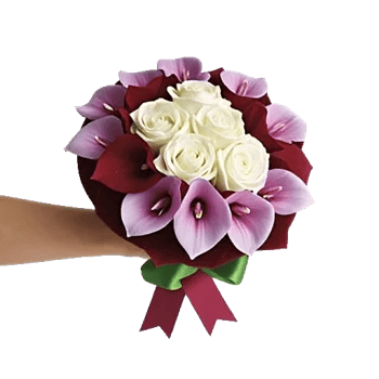 Elegant Calla Lilies