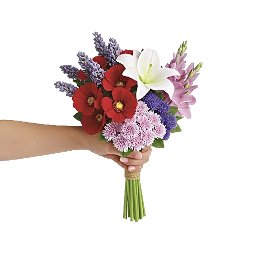 Blossom Petal Serenity