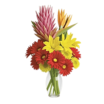 Petal Radiance Bliss