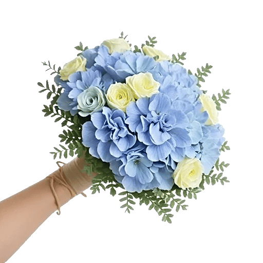 Serene Petal Harmony