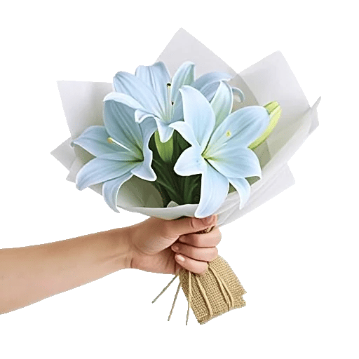 Blossom Petal Serenity