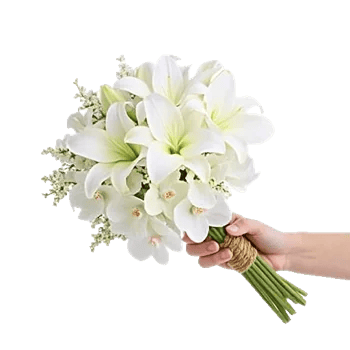 Modern White Orchids