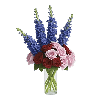 Serenity Blossom Grace