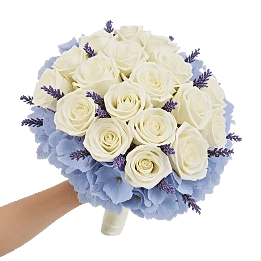 Serene Petal Harmony