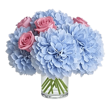 Sapphire Bloom Whisper