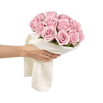 Blushing Rose Symphony