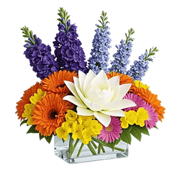 Graceful Lily Display