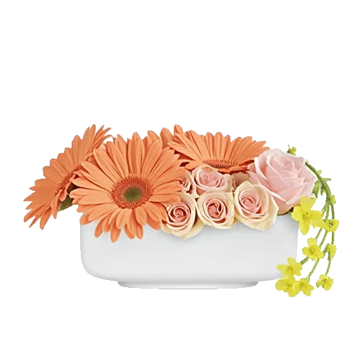 Petal Harmony Bliss