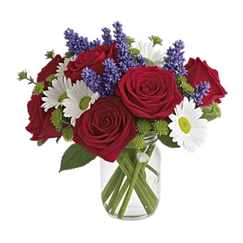 Crimson Rose Elegance