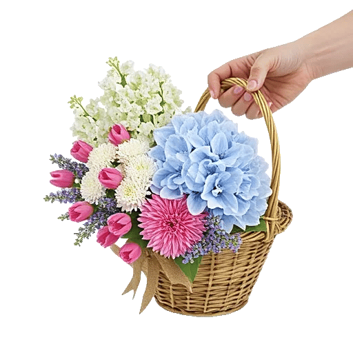 Blossom Harmony Display