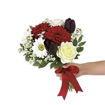 Crimson Blossom Harmony