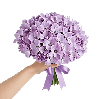 Honeyed Lilac Dream
