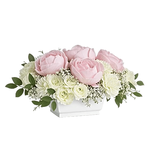 Delicate Petal Cascade