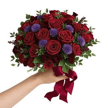 Crimson Rose Elegance