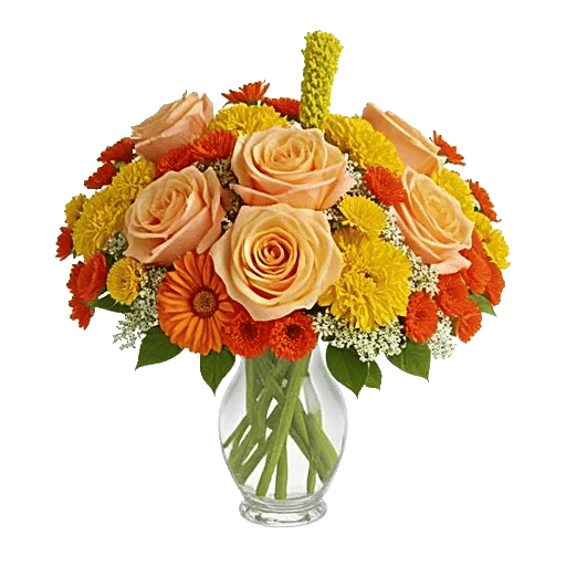 Petal Radiance Bliss