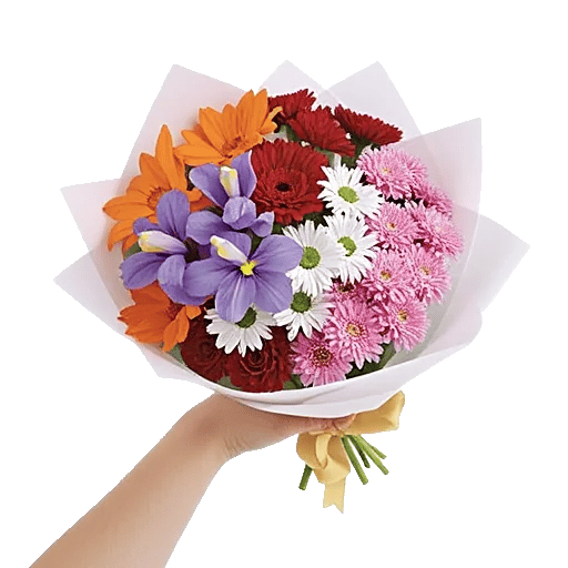 Ivory Blossom Radiance