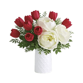 Velvet Tulip Display