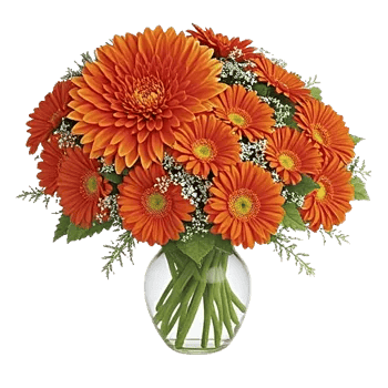 Radiant Bloom Cascade