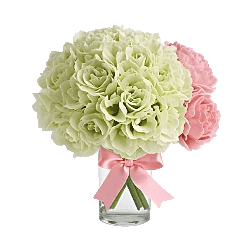 Ivory Blossom Radiance