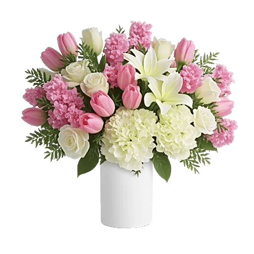 Velvet Tulip Display