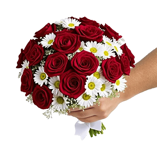 Crimson Rose Elegance