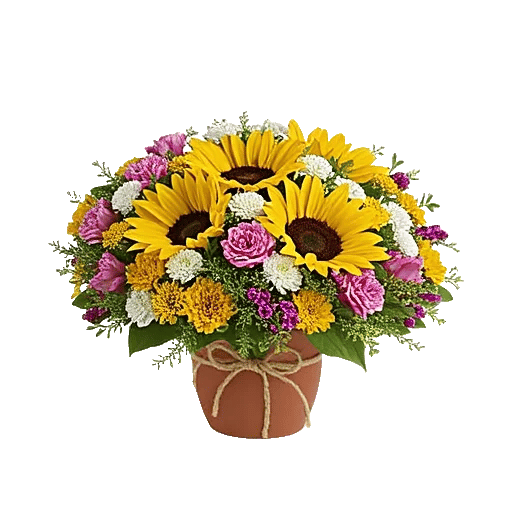 Amber Sunflower Glow