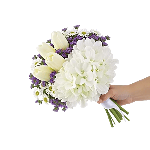 Serene Petal Harmony