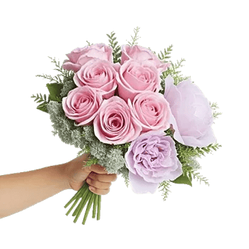 Pastel Pink Roses