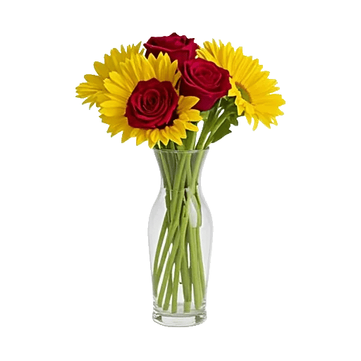 Radiant Bloom Cascade