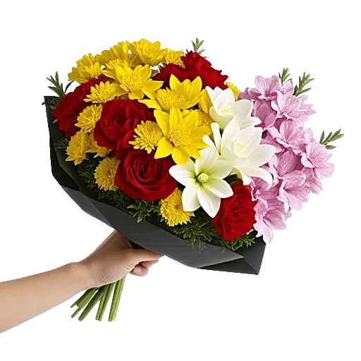 Blossom Harmony Display