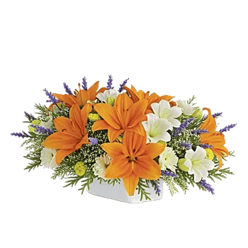 Graceful Lily Display