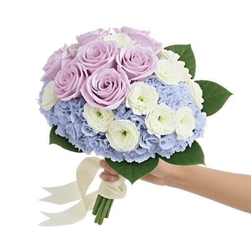 Serene Petal Harmony