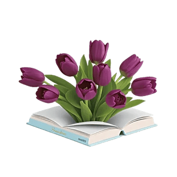Velvet Tulip Display