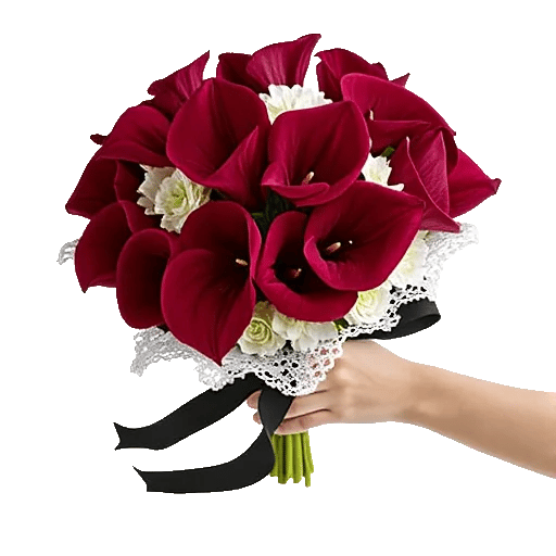 Elegant Calla Lilies