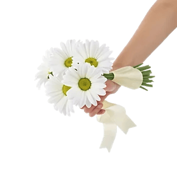 Blossom Harmony Display