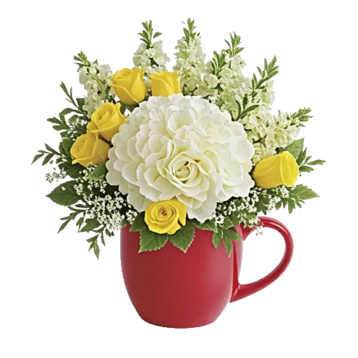 Serene Petal Harmony