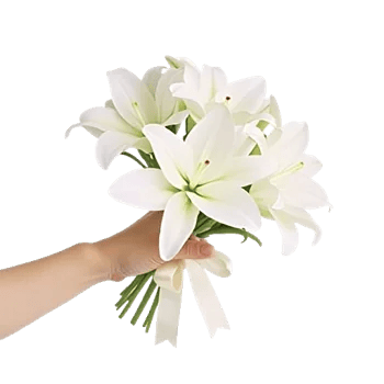 Minimalist White Orchids