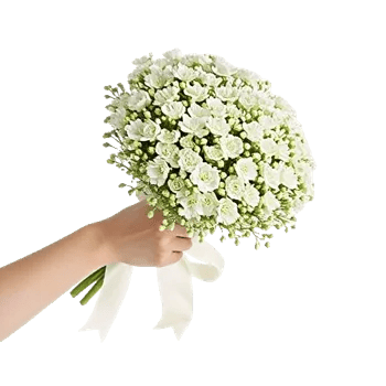 Ivory Blossom Radiance