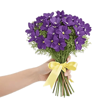 Delicate Petal Cascade