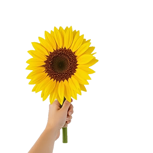 Golden Sunflower Bouquet